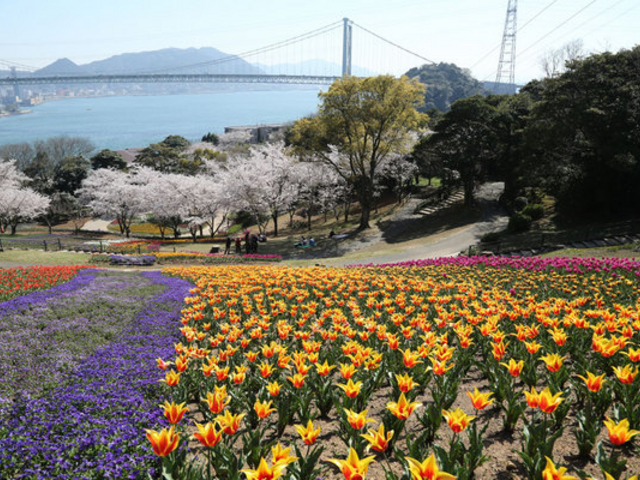 �Ԓ�����̉΂̎R�����^������̓��e�ʐ^1