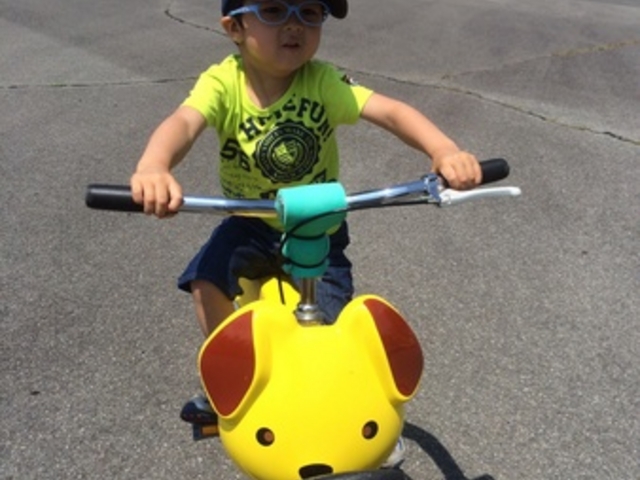 �Ђ낵�܌����̐X