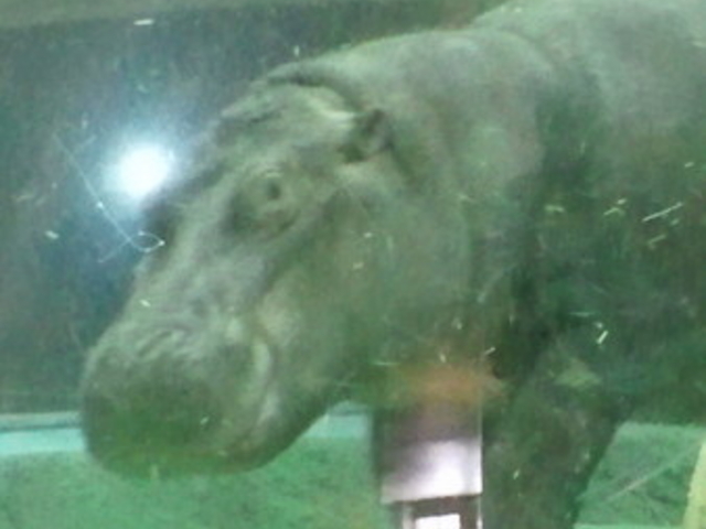 ���R������