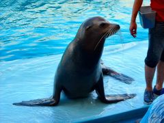 W̓mr[`h&mቤւ̓eʐ^1