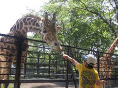 soudaiさんの宇都宮動物園の投稿写真1