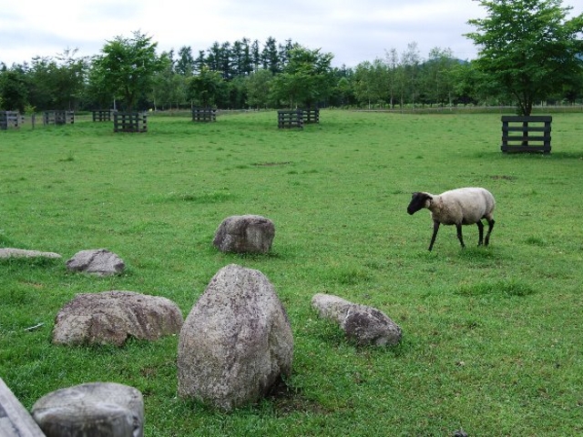 �{�݂̒��̗r�͉��������ł��ˁB_�\����N�̐X