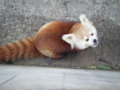 higasi̔Moiijւ̓eʐ^1