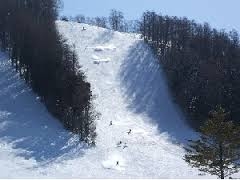 コース幅80mの1枚急斜面バーンで、大回りの練習に最適です。基礎スキーの練習に人気のコースです。_戸隠スキー場