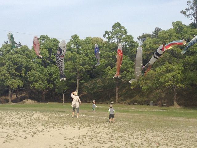 5���͂��ǂ��Ղ��J�Â���Ă���A���̍L��ɂ͑傫�Ȃ����̂ڂ肪�j���ł��܂��B_��I��莩�R�����𗬍L��