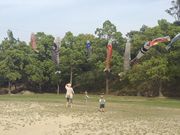 ނ܂̐I莩R𗬍L̓eʐ^1