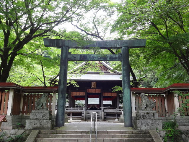 金崎宮_金崎宮