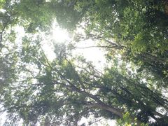 Tomerry̓|悱܂ւ̓eʐ^1