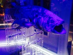 Í`[Cف`V[JXE~[WA`̎ʐ^1