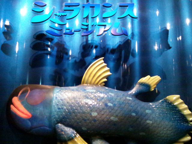 2�K�ɂ���܂��V�[���J���X�R�[�i�[�̓����ɏ����Ă���A������ׂ������V�[���J���X�ł��B_���Í`�[�C�����ف`�V�[���J���X�E�~���[�W�A���`