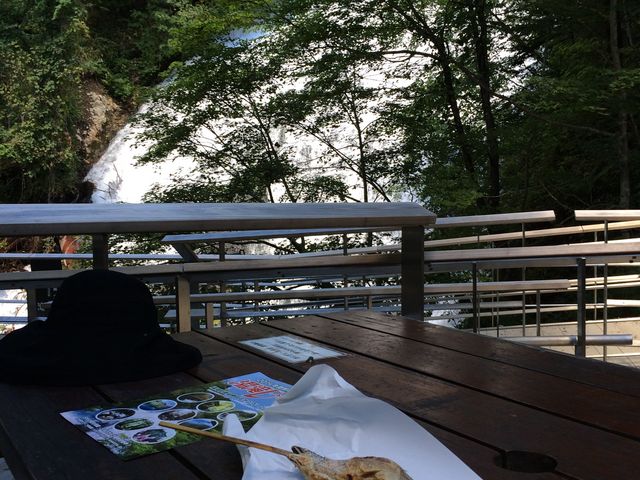 ������Ȃ���A���ƒc�q���܂������I_����