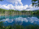 Hokkaidoさんの青い池の投稿写真1