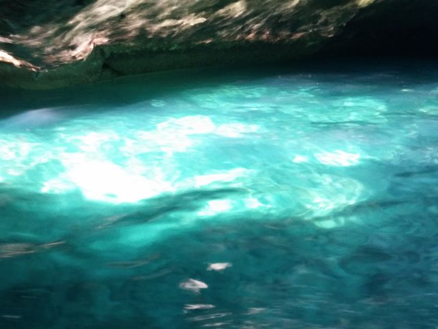 透明度が凄い伊豆の海！綺麗なエメラルドグリーンでした！_堂ケ島洞くつめぐり遊覧船