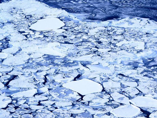 �\�斦���猩�����X_�\�斦�C��