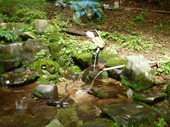oto-channさんの八溝川湧水群の投稿写真1