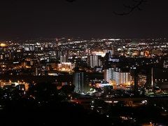 トキメキさんの花岡山からの夜景の投稿写真1