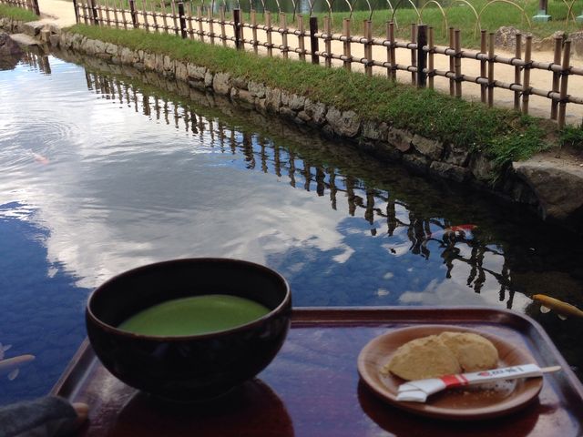 łт񂲂nr[BrɌĉa𔃂ė^Ăǂ_Ry