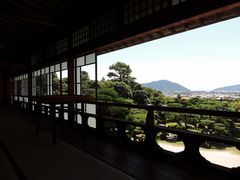 maneki����̖ї������٥�ї����뉀�ւ̓��e�ʐ^2