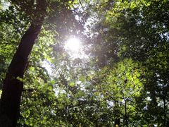 ܂̌y򐯖GA@njeXւ̓eʐ^1