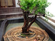 ǂ񂳂̏o_Lgpق̓eʐ^2