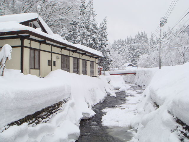 �h�̑O�̐�́A���ăz�^���������Ƃ�_�[������̓� �H�c ��q����