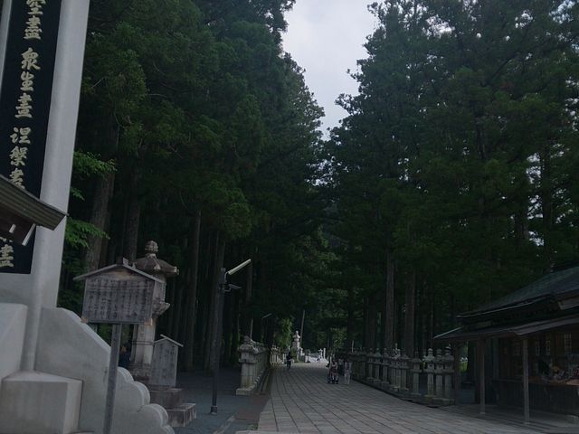 �������Ƌ�C���_��_���V�@