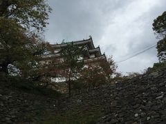 ܂񂳂̘a̎Rւ̓eʐ^1