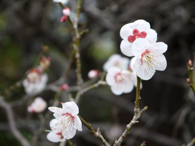 ~̋G߂ƂĂYłII_ڗ܏d