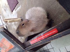 M̐EW ANAggӂւ̓eʐ^1