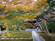 megumilk����̒������̓��e�ʐ^1