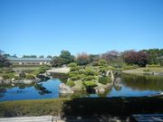 asamiy̓{뉀ԓc̓eʐ^2