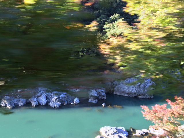 �����g���b�R���