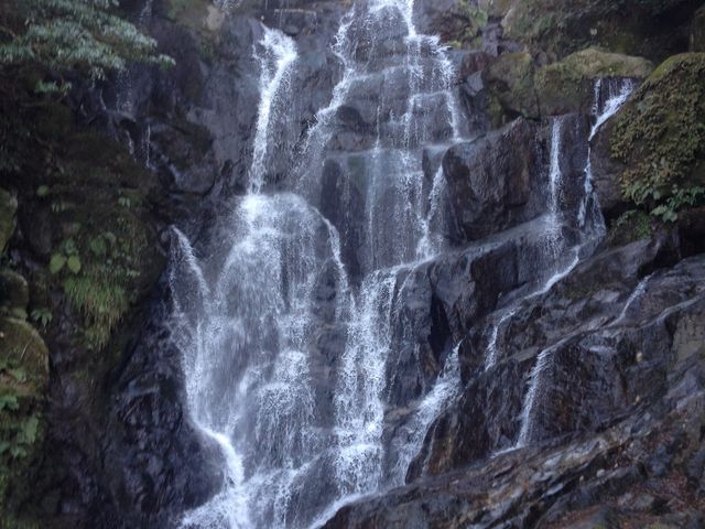 �����̑�