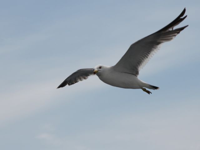 �_���Ă���H_���M�`?�j��?�I�^���C�C�ݗV���D