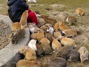 ̂炳̋xɑ v쓇̓eʐ^2