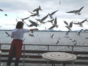 ͂܂̕䓰iCRj̓eʐ^1