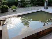 purarȋc@߂̓̓eʐ^2