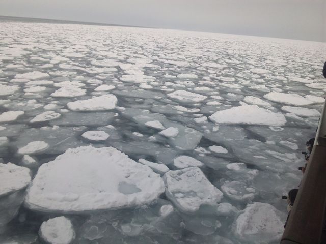 ���R�̋��فA�I�z�[�c�N�C�̗��X�B_�I�z�[�c�N�C�̗��X