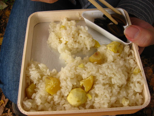 낳̒| y򃍁[^[X̓eʐ^1