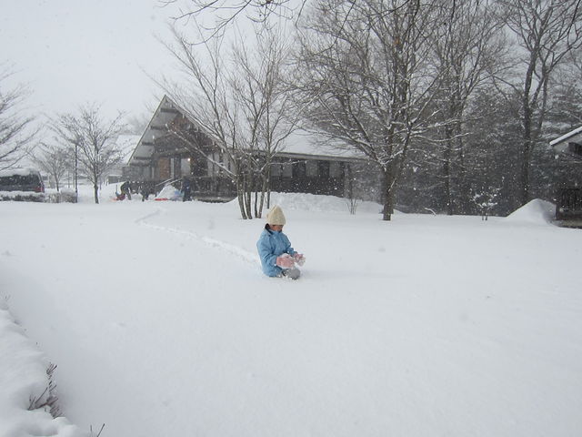 킳̂₭炢Re[W̓eʐ^2