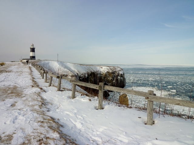 �\�斦����Ɨ��X�̓�d�t_�\�斦�C��