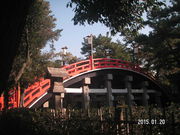 Ԃ񂿂񂳂̏ZgЁisZgj̓eʐ^1