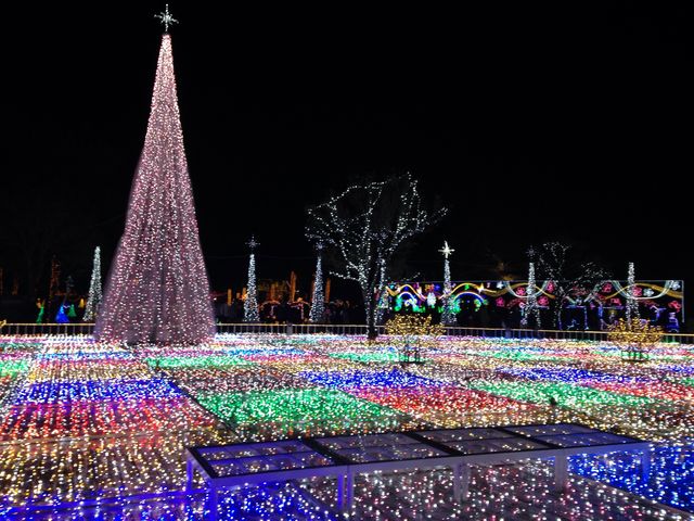 �t���[�����e�{��