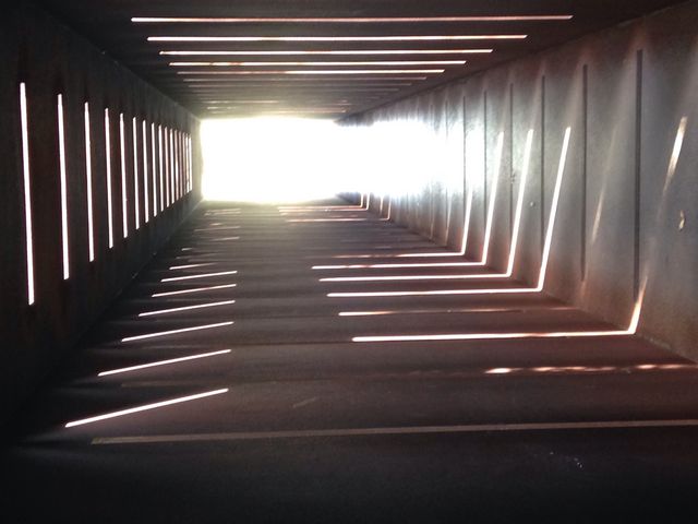 �������������A�[�g�̐X