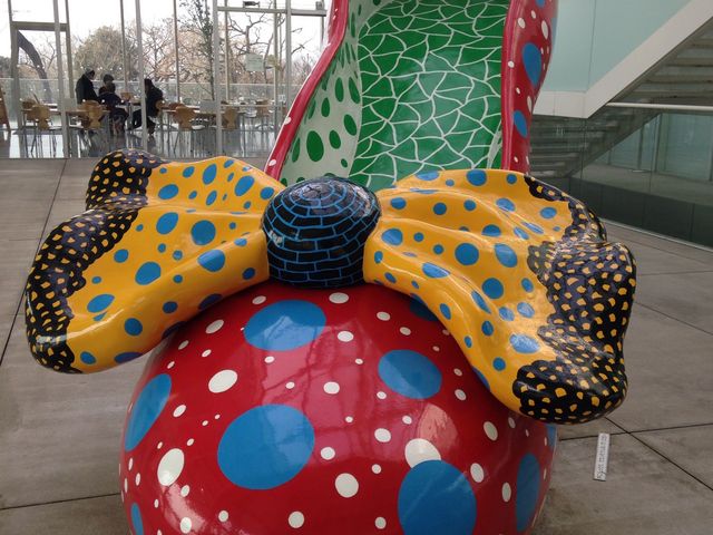 �������������A�[�g�̐X