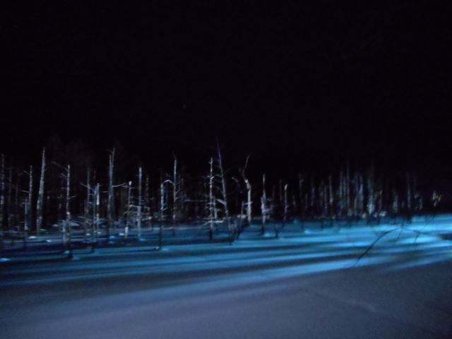 ���C�g�A�b�v����Ă��܂�_���r