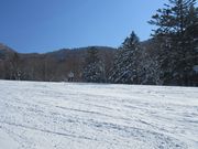 50̃Xm[{[h񂳂̎uꍂGAMuiXL[ꣂ̓eʐ^2