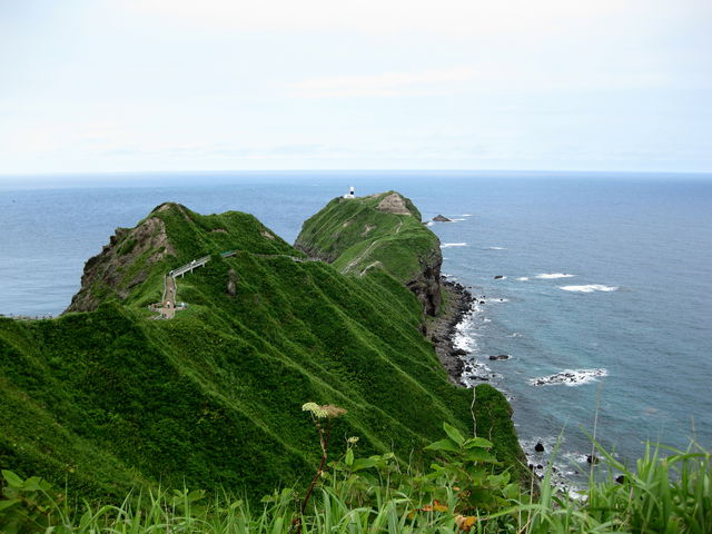 �ϒO�u���[
2008/7/19 �B�e_�_�Ж�