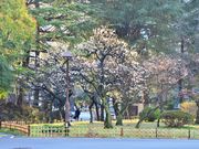 tapumiee̓J̔~̓eʐ^1