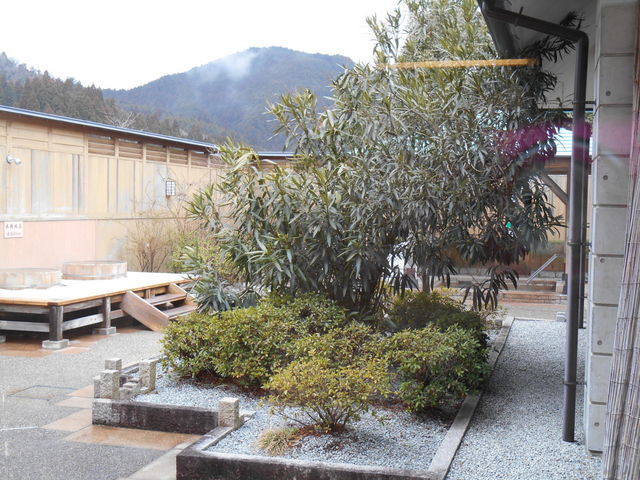 MCɐʖ؂̉ɘIVCłB_݂@P΂̓